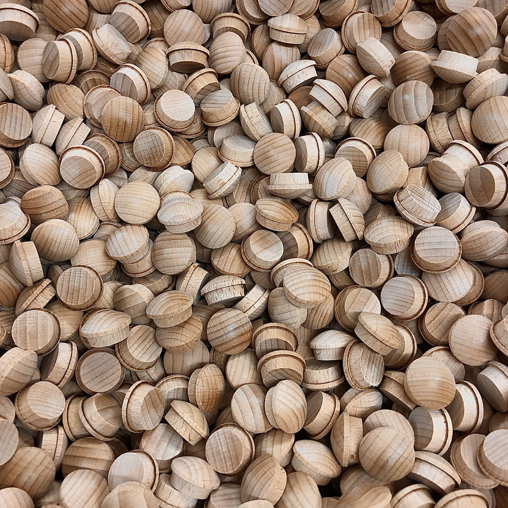 Beech Mushroom End Grain