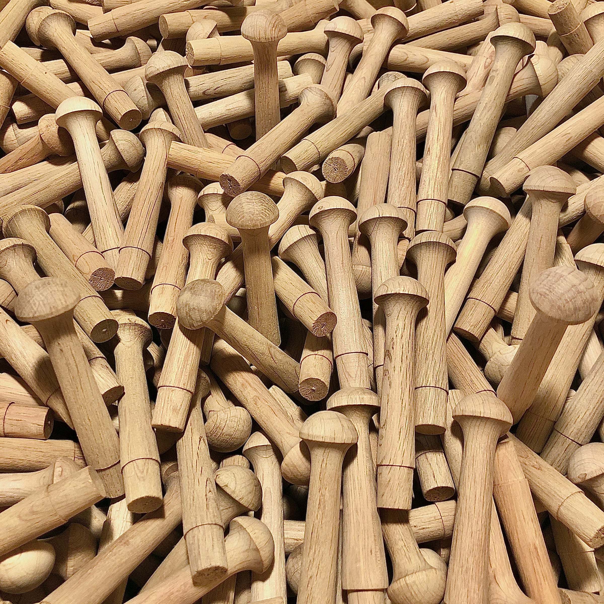 Shaker Pegs
