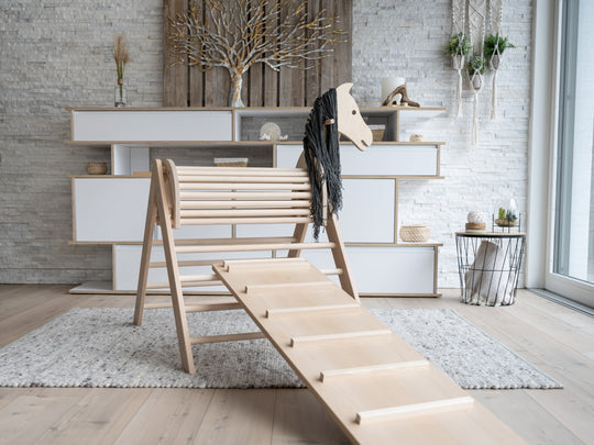 Beech Climbing Triangle with Accessories