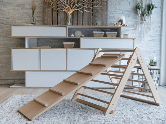 Beech Slide with Chicken Ladder